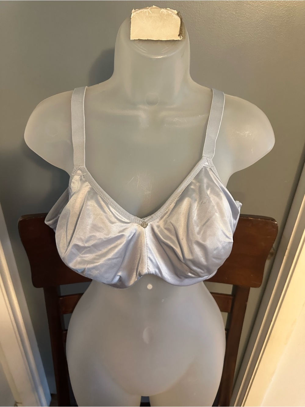 Breezies Light Silver Satin Full-Coverage Bra